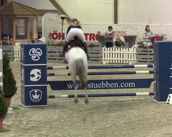 Nordic Jumping events 2020: Turnierergebnisse + Videos