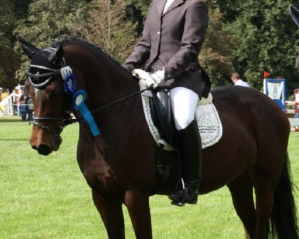 dressage horse Klooster's Jesmie (German Riding Pony, 2007, from Orchard Boginov)
