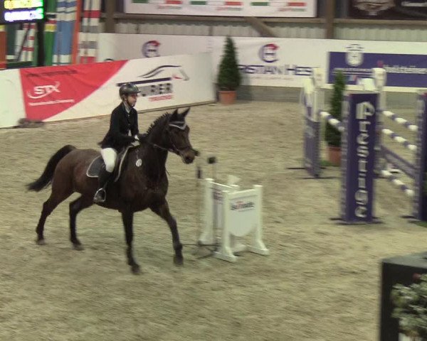 Nordic Jumping events 2020: Turnierergebnisse + Videos