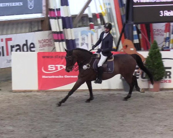 Nordic Jumping events 2020: Turnierergebnisse + Videos
