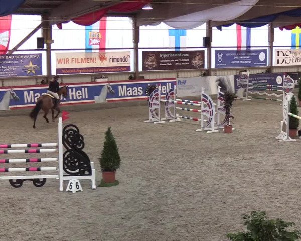 Nordic Jumping events 2020: Turnierergebnisse + Videos