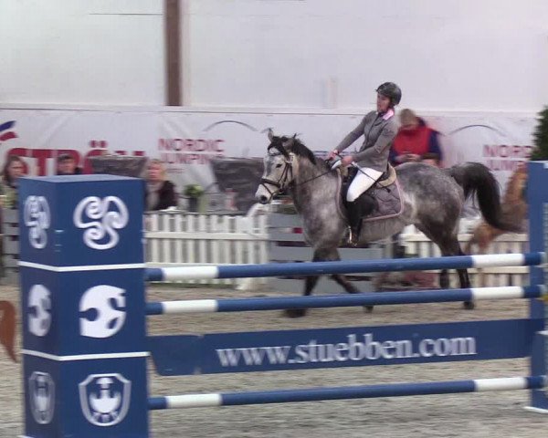 Nordic Jumping events 2020: Turnierergebnisse + Videos