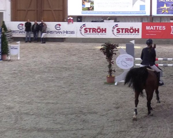 Nordic Jumping events 2020: Turnierergebnisse + Videos