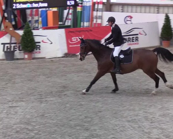 Nordic Jumping events 2020: Turnierergebnisse + Videos