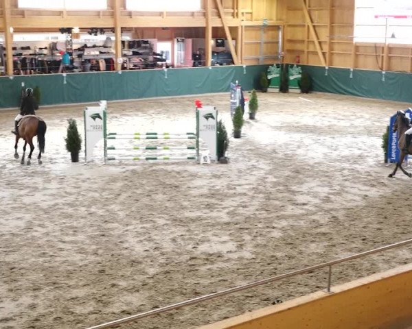 Reitturnier Dielsdorf, Horsepark 2020