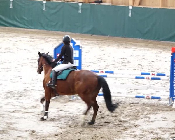 Reitturnier Dielsdorf, Horsepark 2020