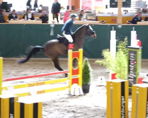 Reitturnier Dielsdorf, Horsepark 2020