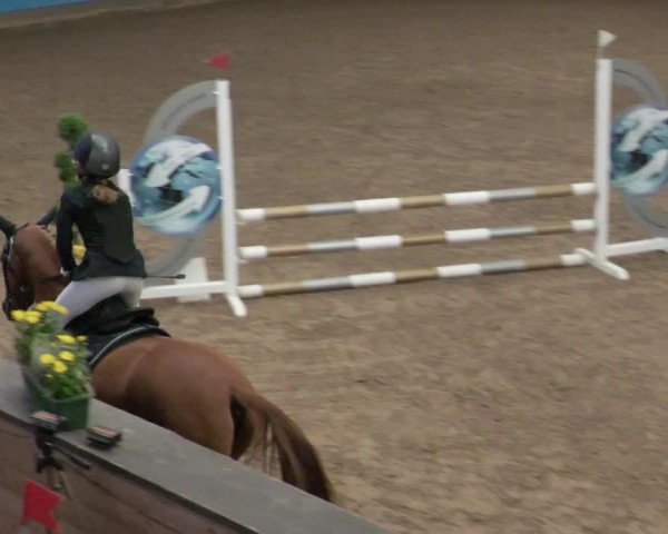 Reitturnier Heilbronn 2021
