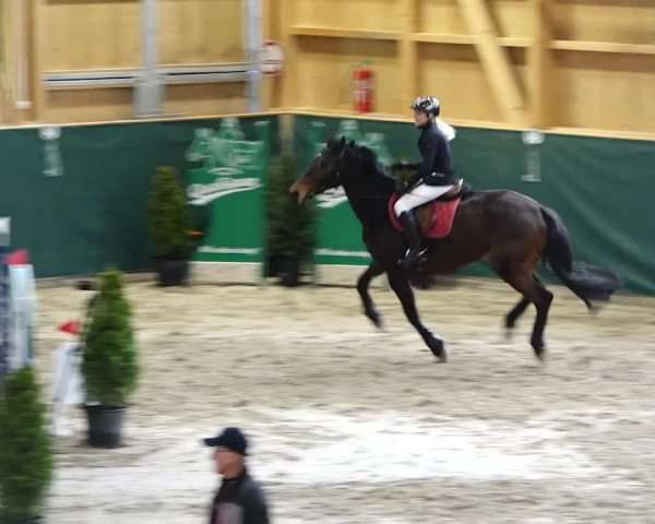 Reitturnier Dielsdorf, Horsepark 2020