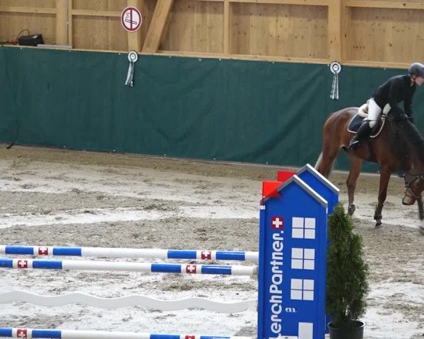 Reitturnier Dielsdorf, Horsepark 2020