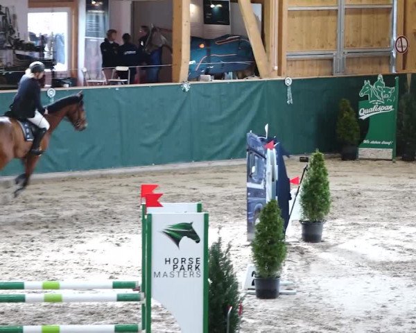 Reitturnier Dielsdorf, Horsepark 2020