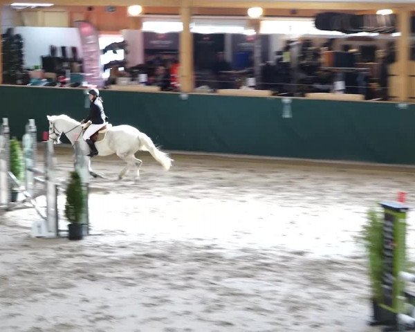Reitturnier Dielsdorf, Horsepark 2020
