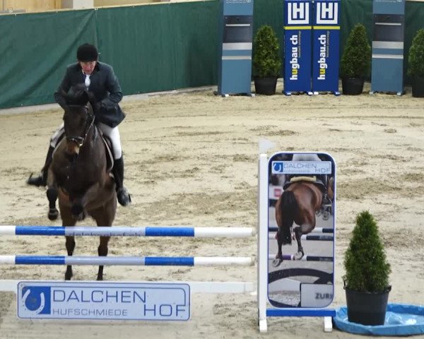 Reitturnier Dielsdorf, Horsepark 2020