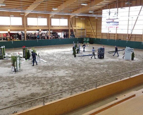 Reitturnier Dielsdorf, Horsepark 2020