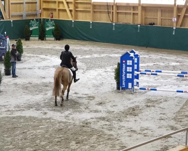 Reitturnier Dielsdorf, Horsepark 2020
