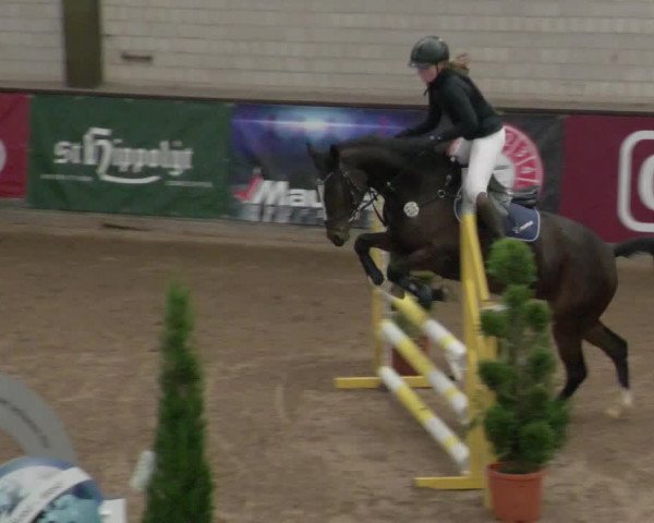 Reitturnier Heilbronn 2021