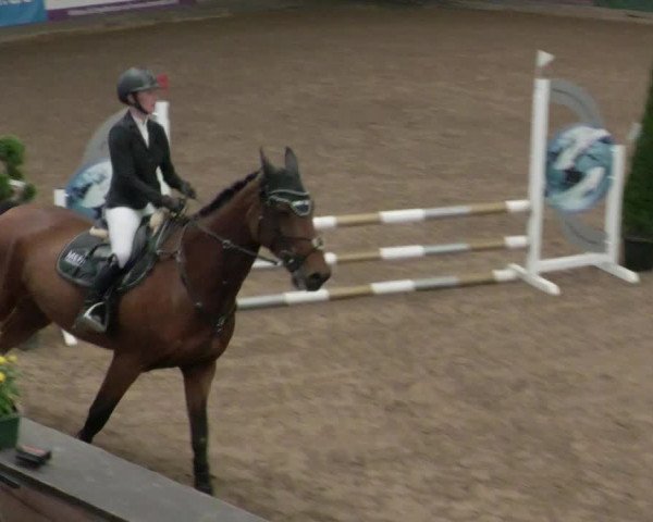 Reitturnier Heilbronn 2021