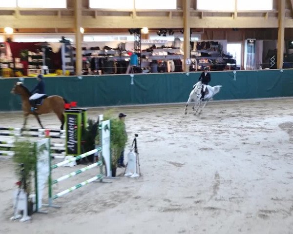 Reitturnier Dielsdorf, Horsepark 2020