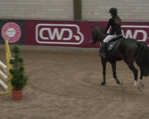 Reitturnier Heilbronn 2021