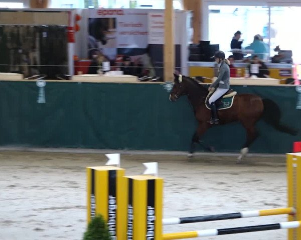 Reitturnier Dielsdorf, Horsepark 2020