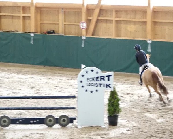 Reitturnier Dielsdorf, Horsepark 2020