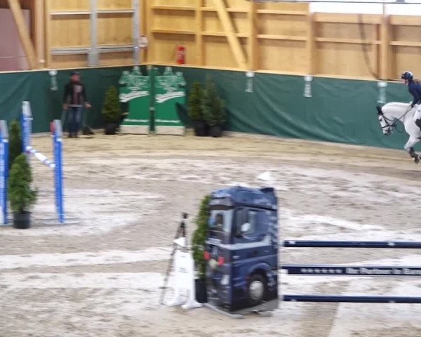 Reitturnier Dielsdorf, Horsepark 2020