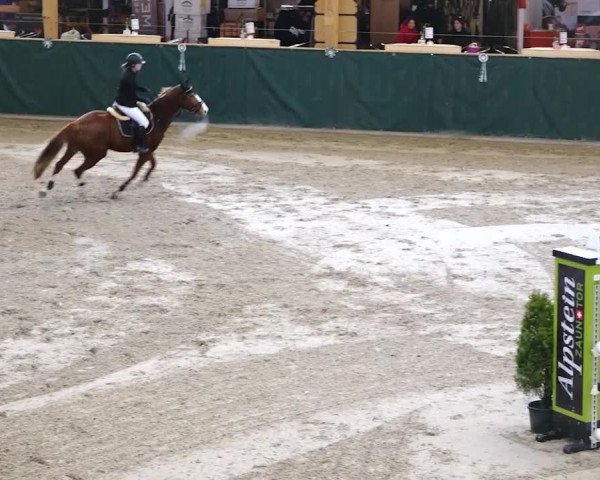 Reitturnier Dielsdorf, Horsepark 2020