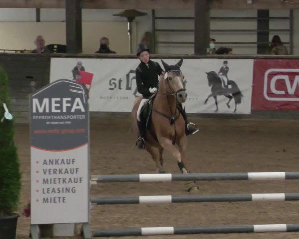 Reitturnier Heilbronn 2021