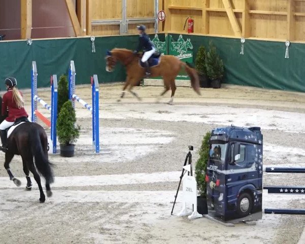 Reitturnier Dielsdorf, Horsepark 2020