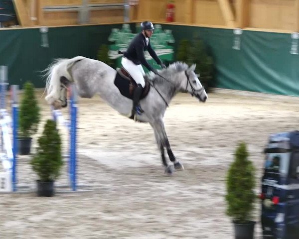 Reitturnier Dielsdorf, Horsepark 2020