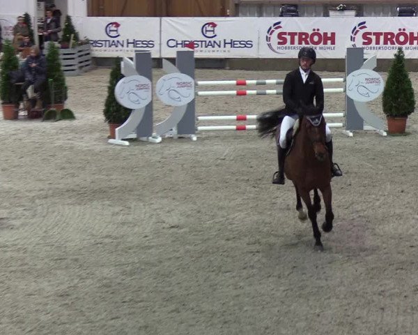Nordic Jumping events 2020: Turnierergebnisse + Videos