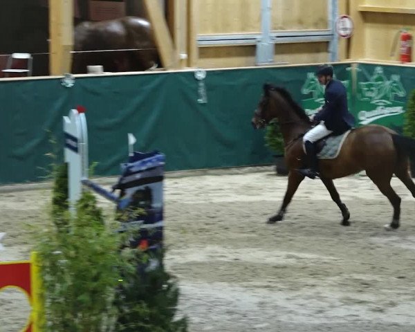 Reitturnier Dielsdorf, Horsepark 2020