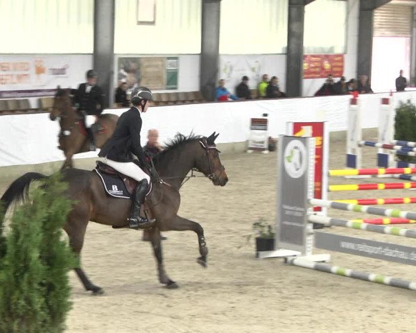Reitturnier Karlsfeld/Obb. 2020