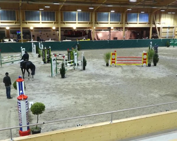 Reitturnier Dielsdorf, Horsepark 2020