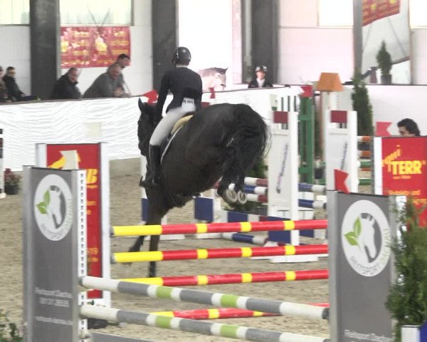 Reitturnier Karlsfeld/Obb. 2020
