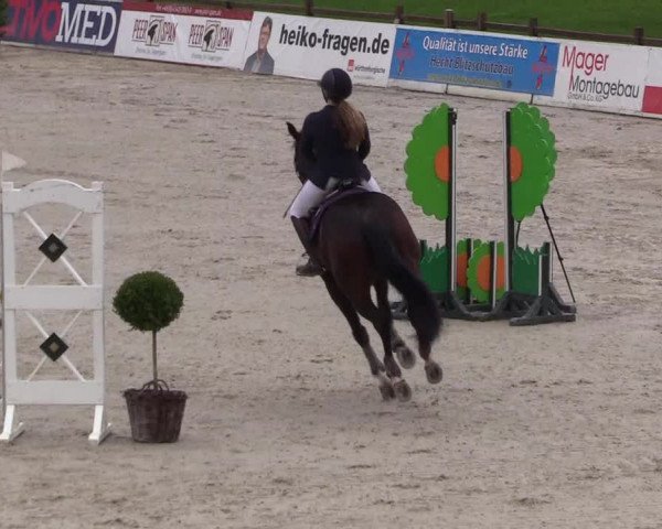 Reitturnier Westergellersen 2021