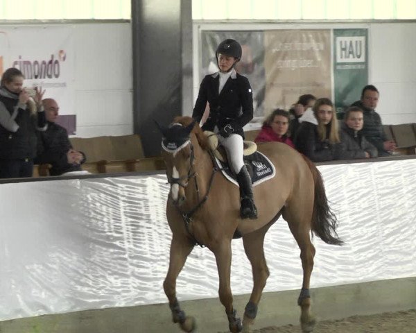 Reitturnier Karlsfeld/Obb. 2020
