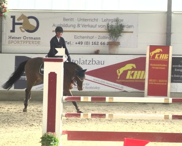 Reitturnier Karlsfeld/Obb. 2020