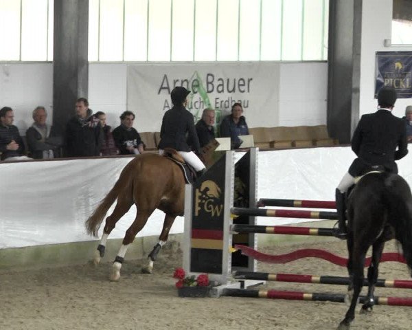 Reitturnier Karlsfeld/Obb. 2020
