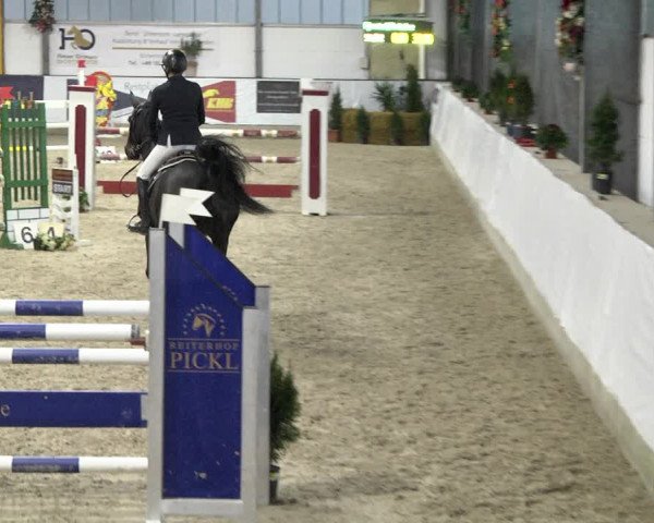 Reitturnier Karlsfeld/Obb. 2020