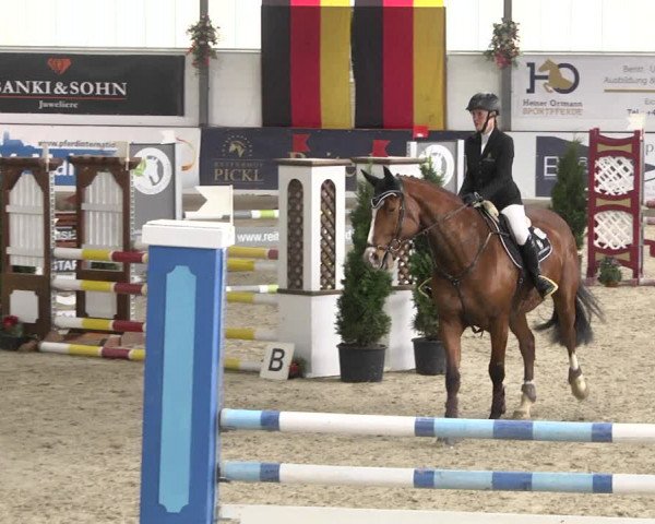 Reitturnier Karlsfeld/Obb. 2020