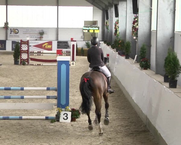Reitturnier Karlsfeld/Obb. 2020