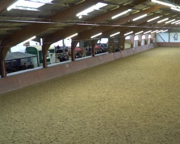 Reitturnier Bad Salzuflen 2020