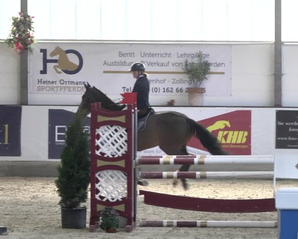 Reitturnier Karlsfeld/Obb. 2020