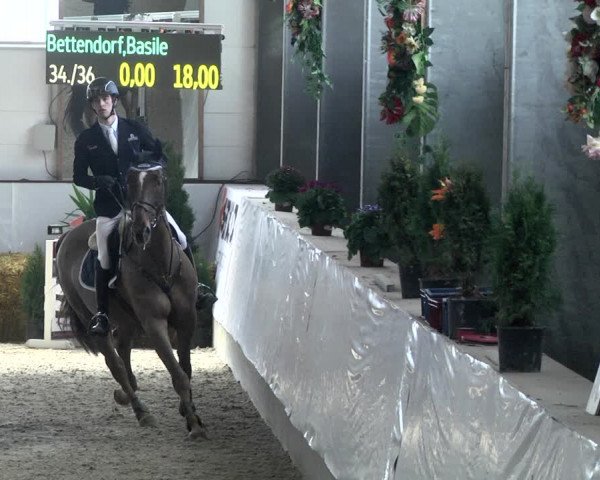 Reitturnier Karlsfeld/Obb. 2020