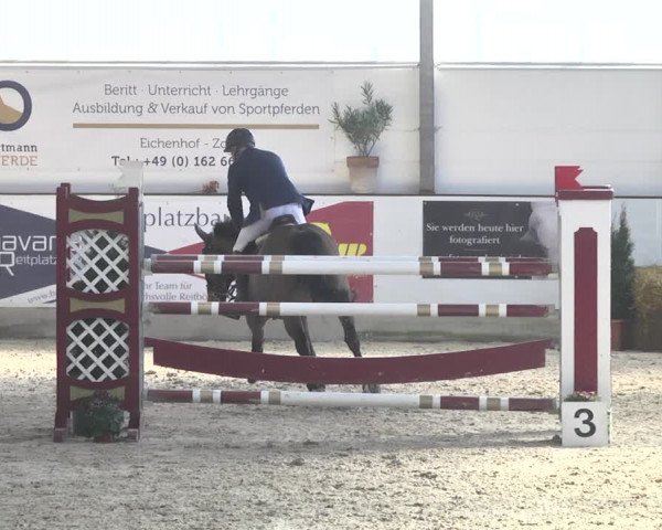 Reitturnier Karlsfeld/Obb. 2020