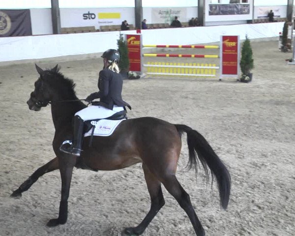 Reitturnier Karlsfeld/Obb. 2020