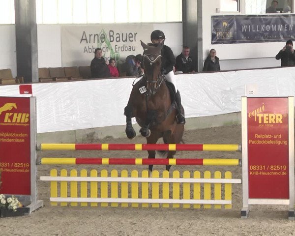 Reitturnier Karlsfeld/Obb. 2020