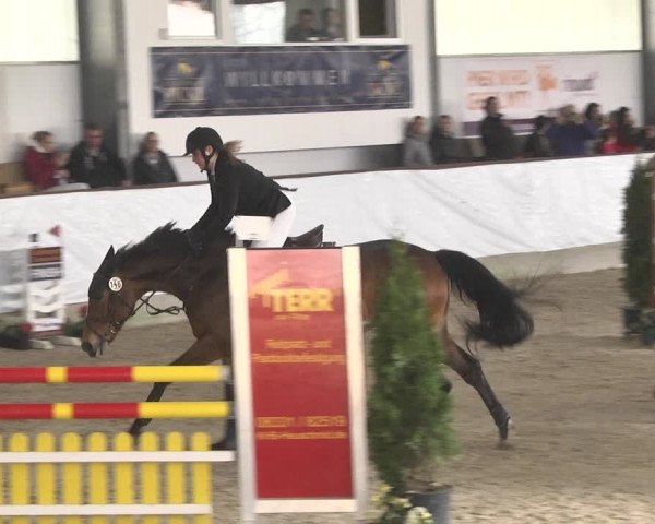 Reitturnier Karlsfeld/Obb. 2020