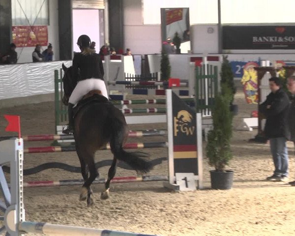 Reitturnier Karlsfeld/Obb. 2020